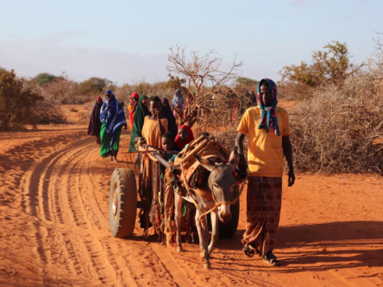 WFP: 6.5 Million People Face Crisis Hunger as Somalia Edges Toward Humanitarian Emergency